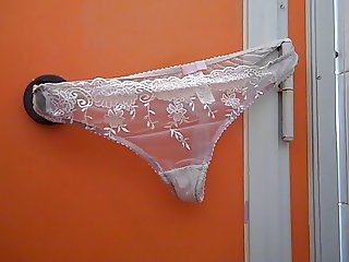 Panties left in a public loo in Bridport