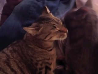 INTENSE PUSSY LICKING ROUGH PASSIONATE ORGASM